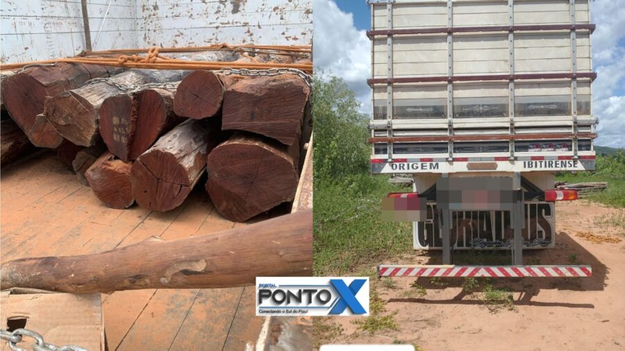 Polícia apreende caminhão com madeira ilegal e arma de fogo na zona rural de Avelino Lopes