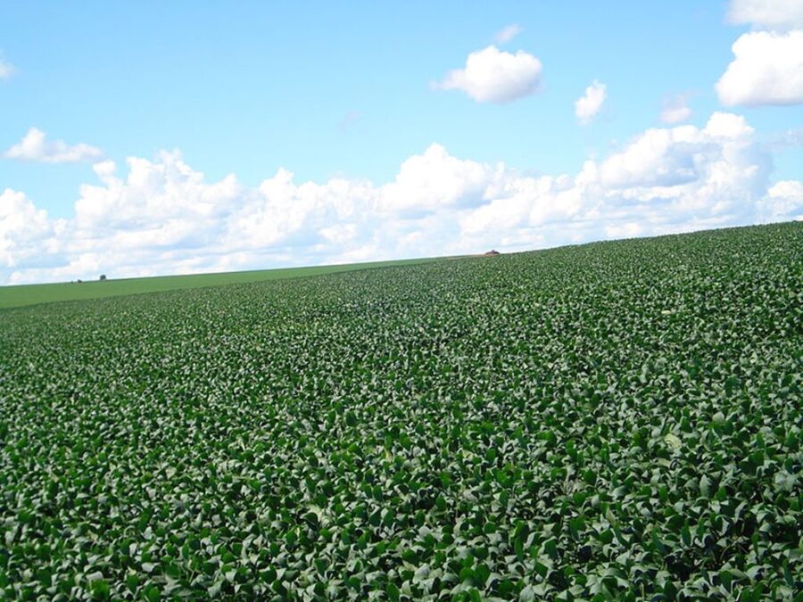 Baixa Grande do Ribeiro ocupa 22ª posição entre os 100 maiores do agronegócio