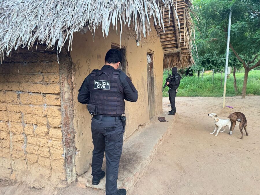 Grupo criminoso suspeito de 14 homicídios é alvo de operação no interior do Piauí