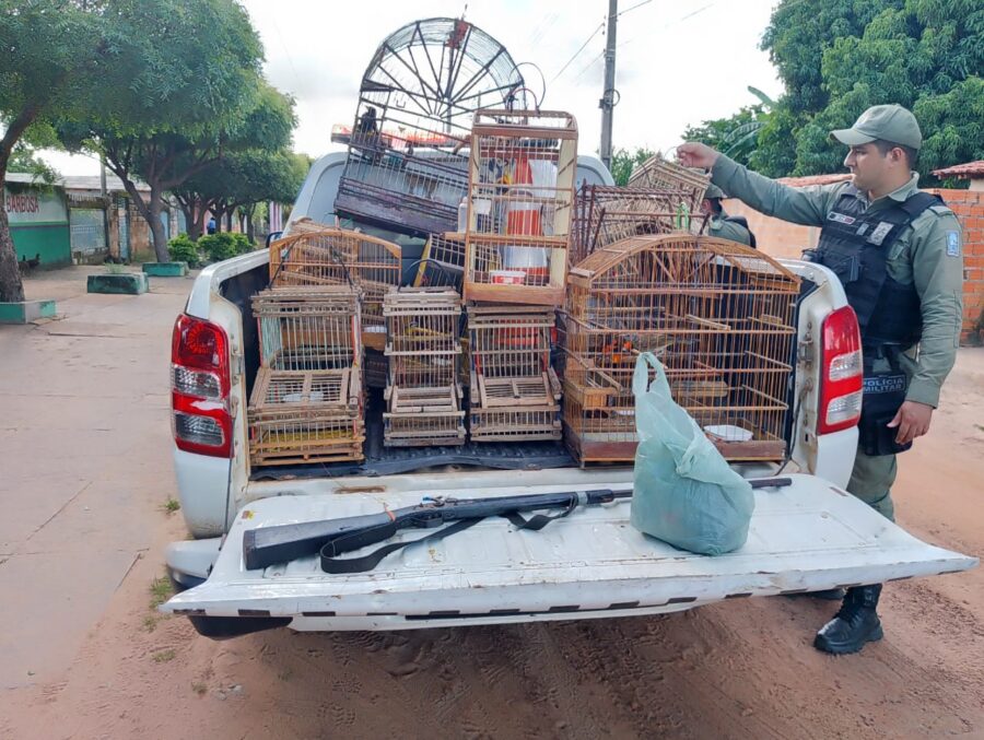 Homem é flagrado com arma de fogo e aves silvestres em cativeiro no interior do Piauí