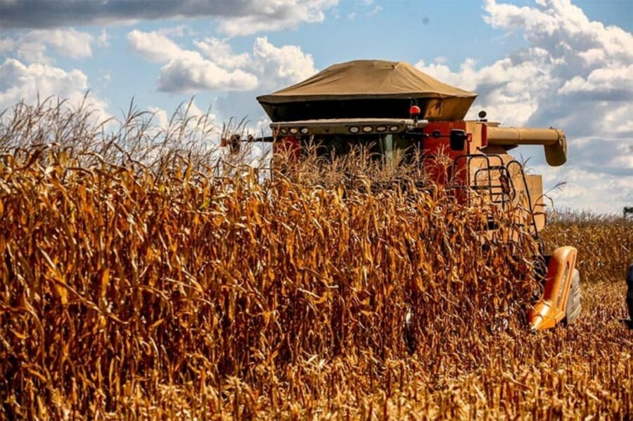 Governo federal inclui Piauí em zoneamento agrícola de risco climático para plantio do milho