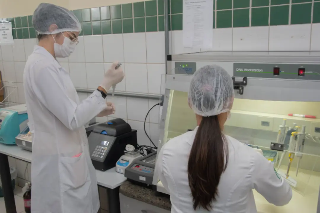 Laboratório da UFPI é pioneiro no uso de células-tronco para tratamento de animais