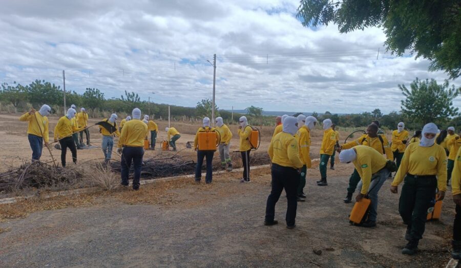 Semarh e Corpo de Bombeiros capacitam mais de 230 brigadistas no Sul do Piauí