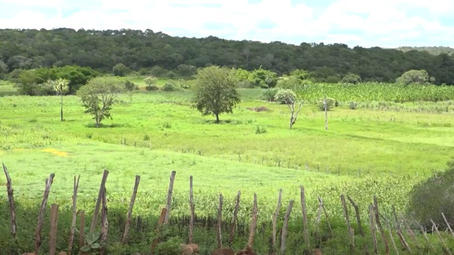 "Seca verde" castiga agricultores de Itaueira e ameaça abastecimento d’água