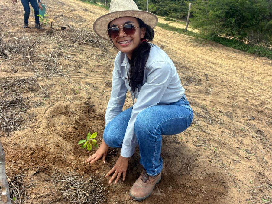 CS Grãos do Piauí é a primeira PPP do estado a receber certificação de Gestão Ambiental