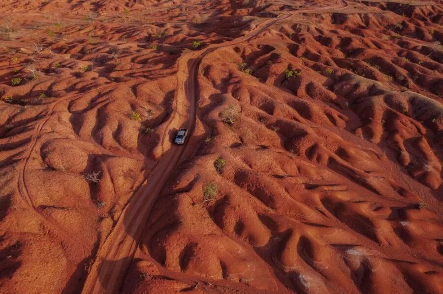 Piauí intensifica ações para recuperar áreas degradadas e combater a desertificação