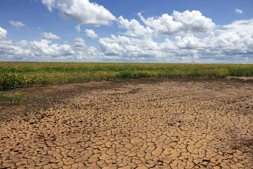 Boletim confirma avanço da seca no Piauí e Semarh lança ferramenta para acompanhar situação dos municípios