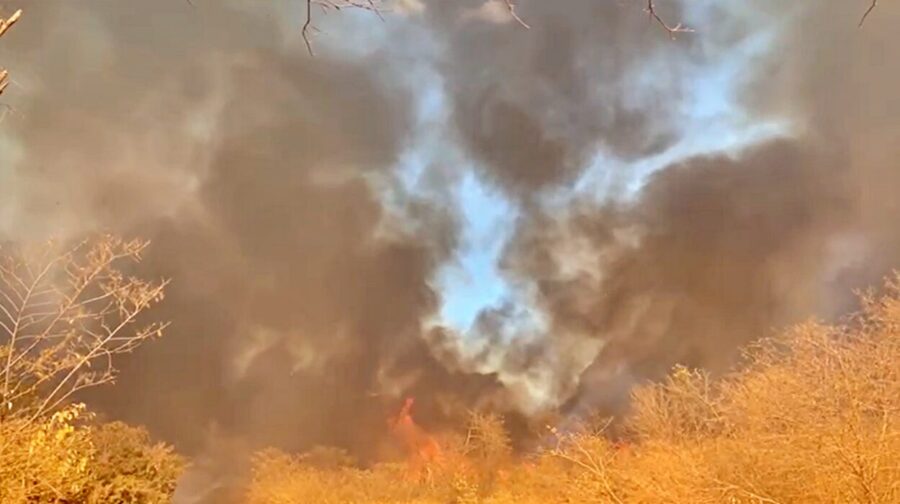 Piauí prorroga proibição do uso do fogo por mais um mês