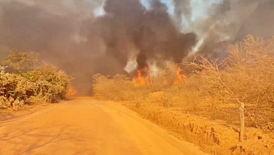 (Vídeo): Incêndio de grandes proporções atinge zona rural de Currais
