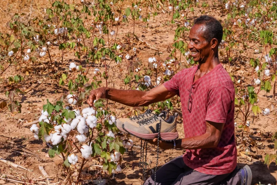 Agricultor do Piauí comemora exportação de trabalho: “Calço tênis francês com algodão que produzi”