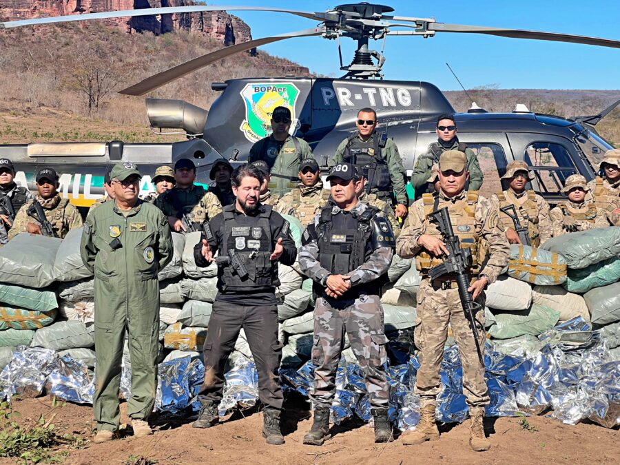 URGENTE: Polícias Civil e Militar encontram roça com mais de 130 mil pés de maconha em Cristino Castro