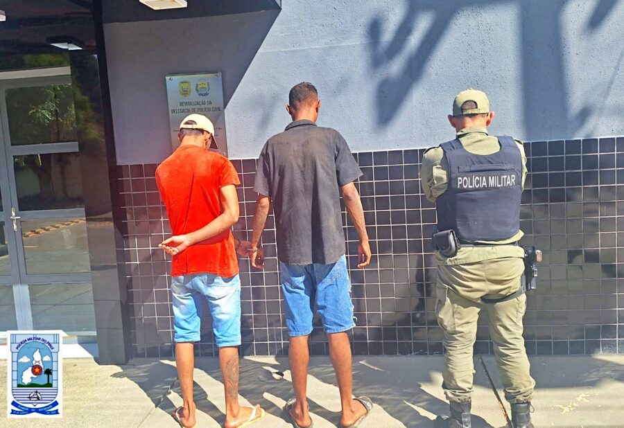 Polícia apreende drogas e prende dois suspeitos em Avelino Lopes