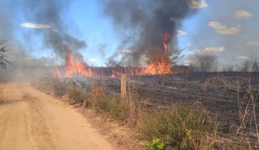 Incêndio de grandes proporções atinge vegetação e ameaça residências no Barrocão, em Bom Jesus