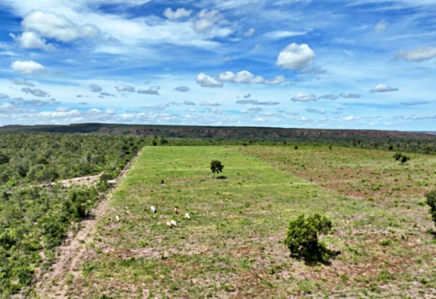 Governo sanciona Refis Ambiental e permitirá desconto de até 90% em multas