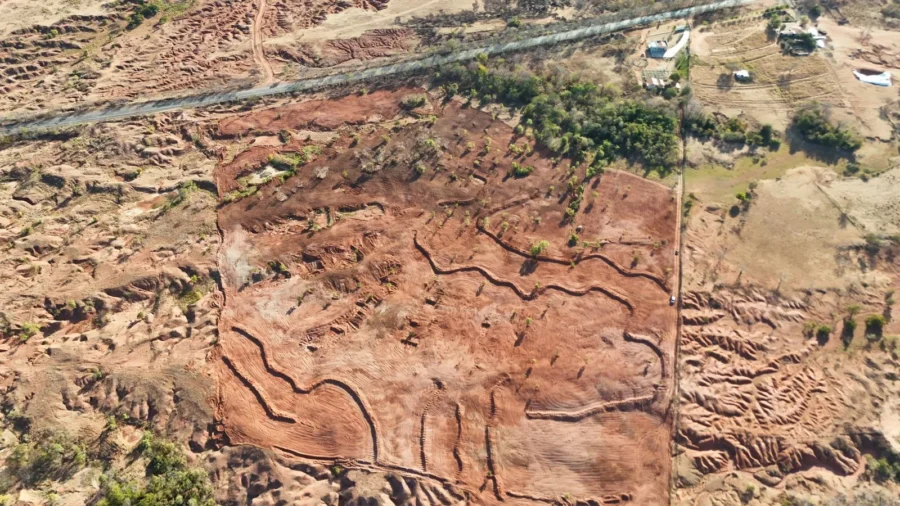 Gel natural desenvolvido no Piauí é usado para recuperar solo degradado em Gilbués