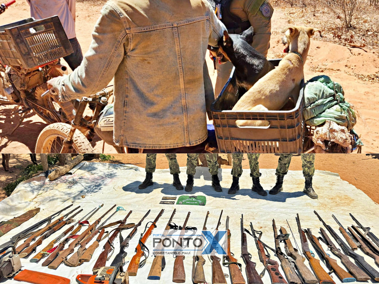 Operação “Biodiversidade Caatingueira I” resulta na apreensão de armas, animais silvestres e na aplicação de mais de R$ 110 mil em multas no Sul do Piauí