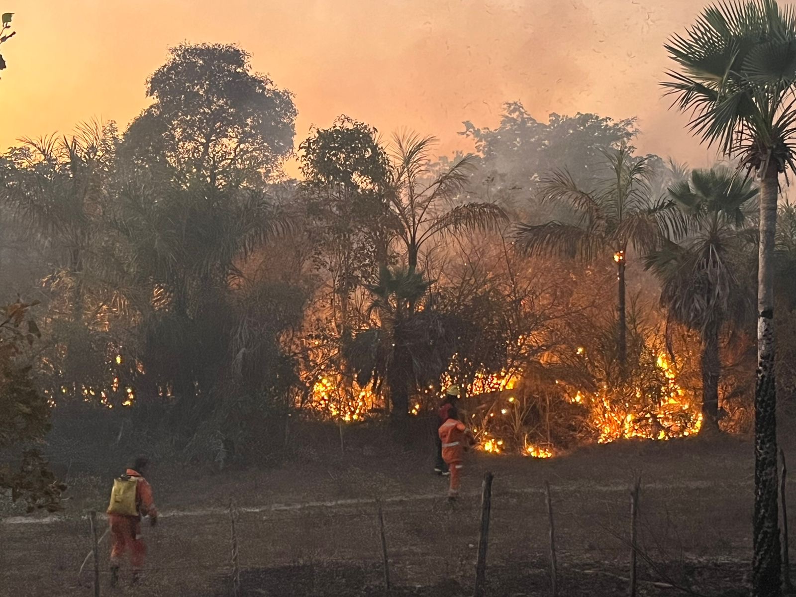 Com instalação de nova base e monitoramento de brigadas, Corpo de Bombeiros intensifica combate às queimadas no sul do Estado