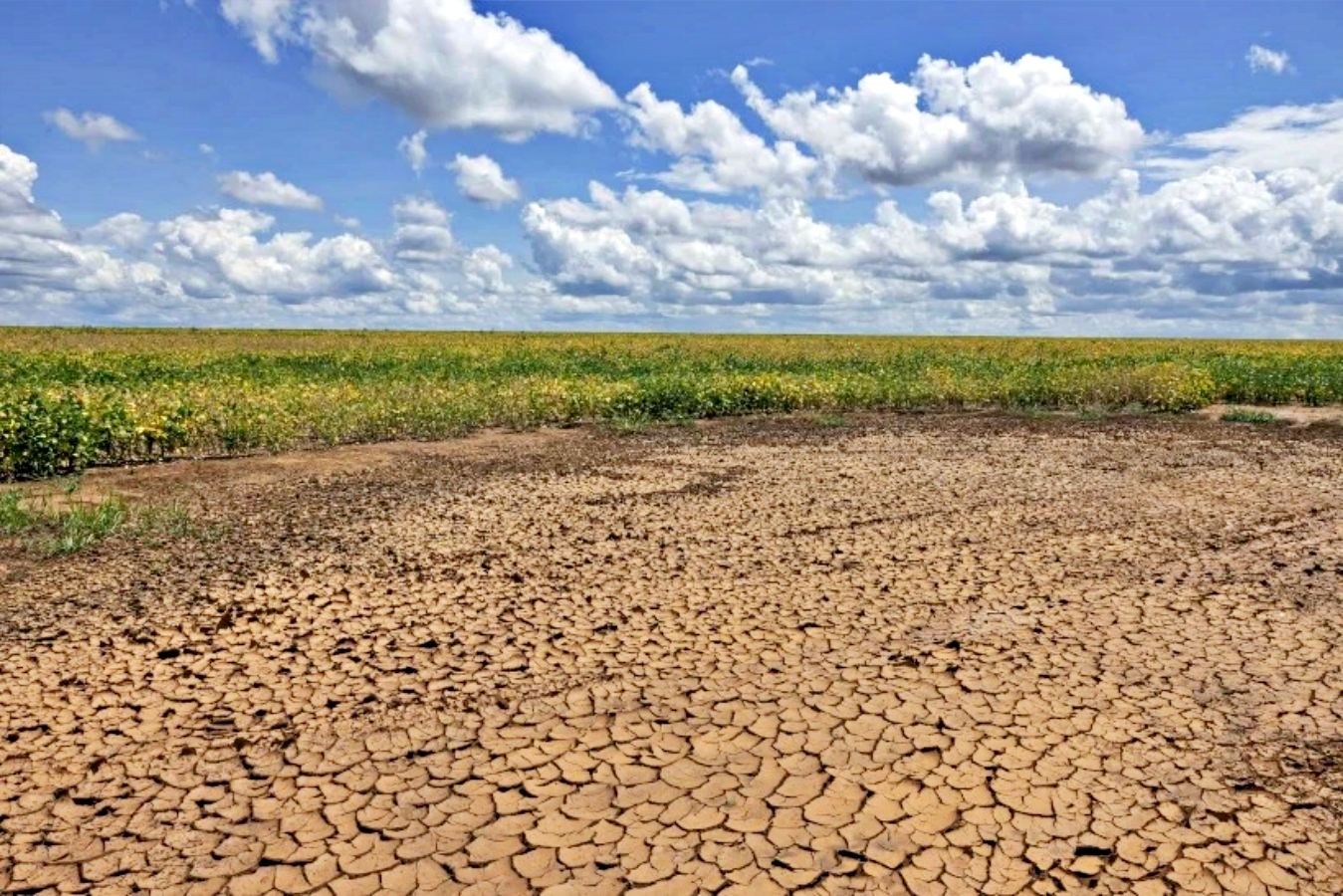 Piauí enfrenta a pior seca desde 2018 com 100% do território afetado