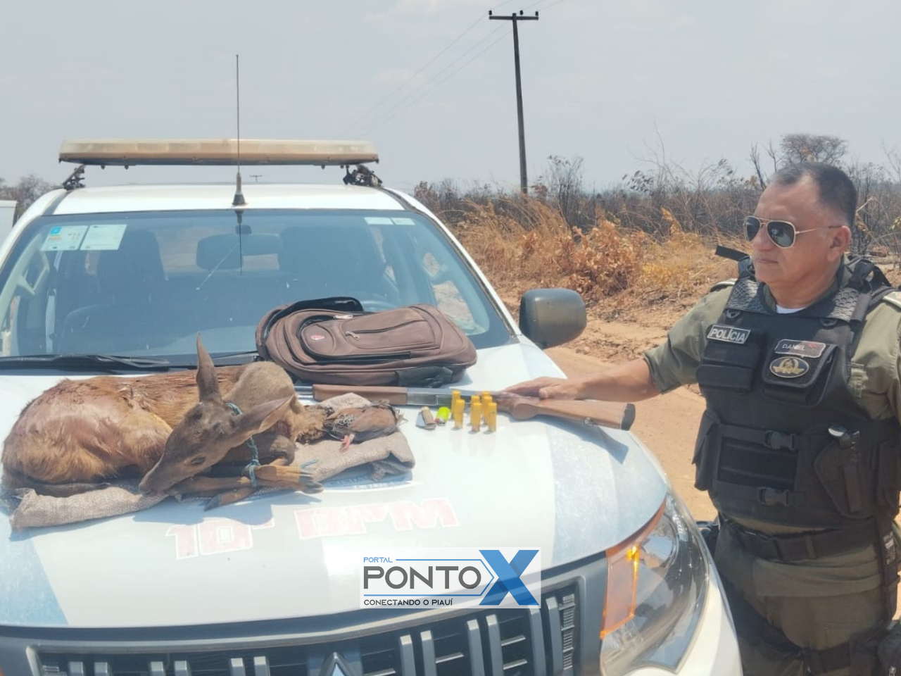 Polícia Militar apreende animal silvestre abatido e arma de fogo em Baixa Grande do Ribeiro