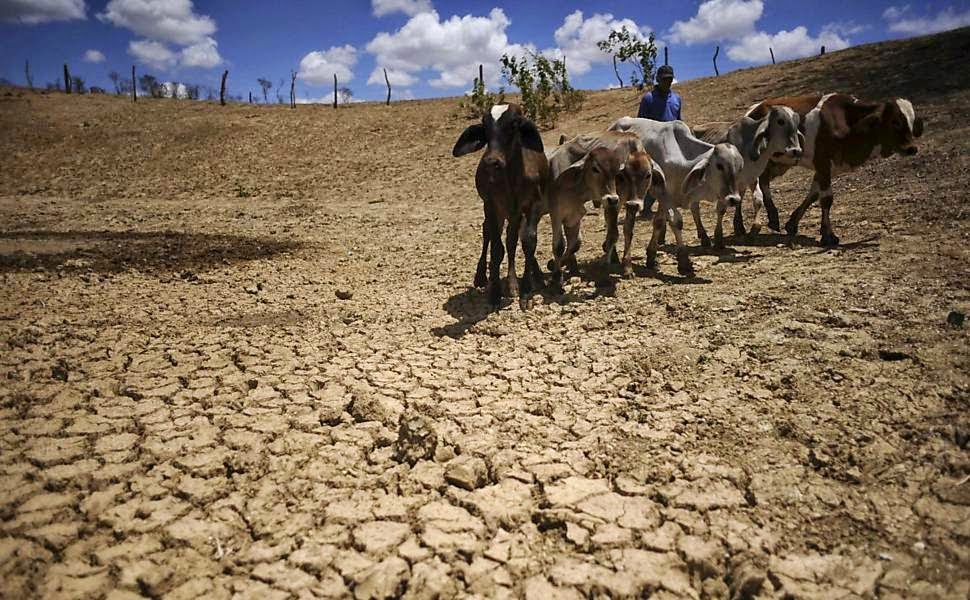 Governo do Piauí decreta emergência em 119 municípios por causa da seca; veja a lista
