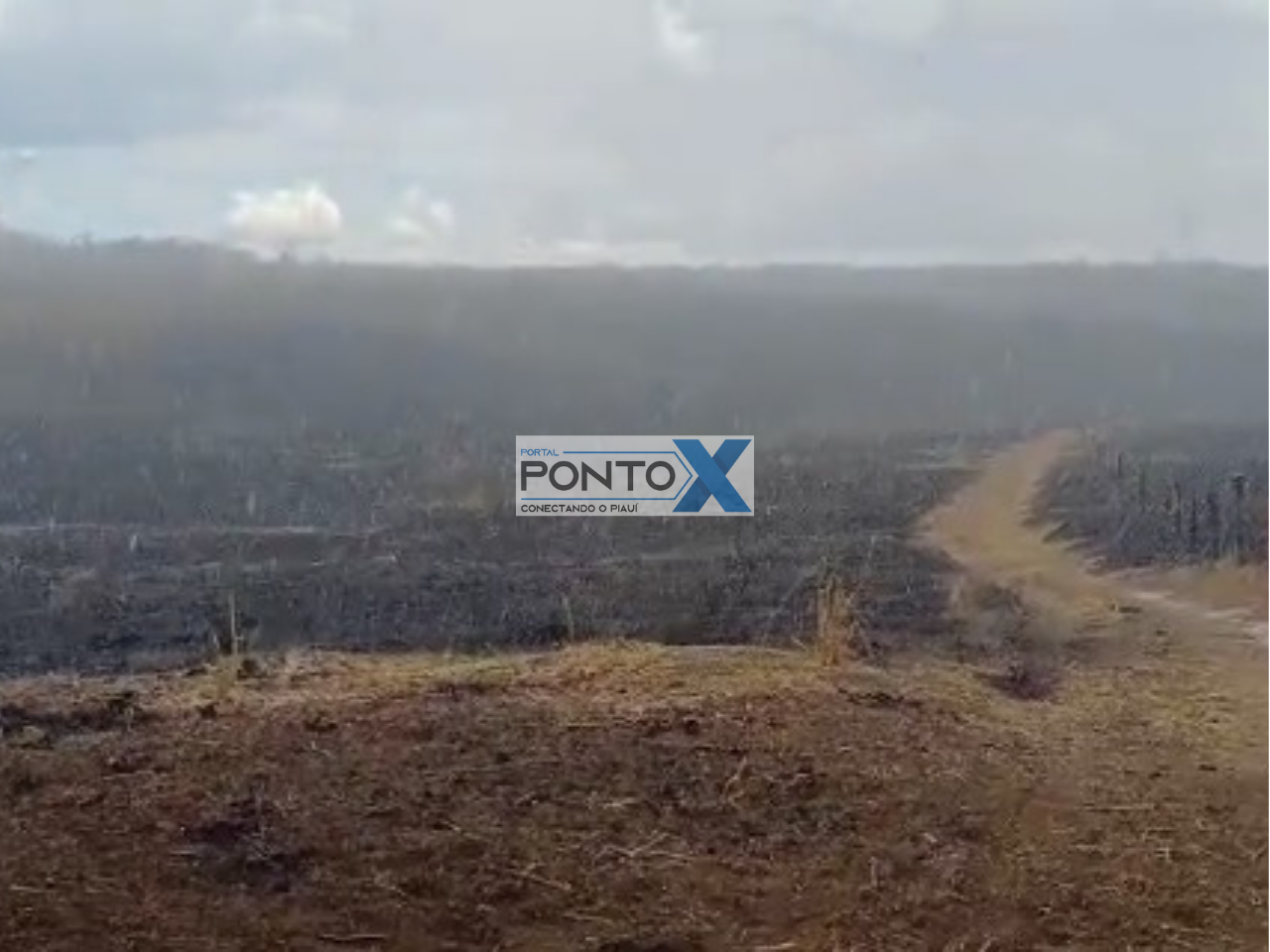 Chuvas ajudam a conter incêndios que atingem o Sul do Piauí há uma semana