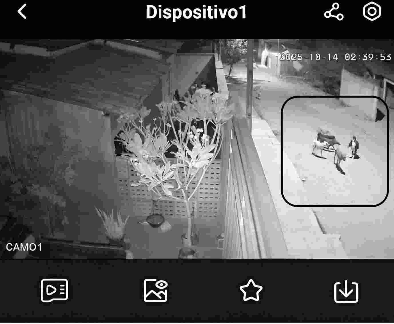 Mistério em Bom Jesus: câmera de segurança registra suposta aparição de criança na madrugada