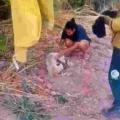 68ee802c12382_WhatsApp Image 2025-10-14 at 12.59.04