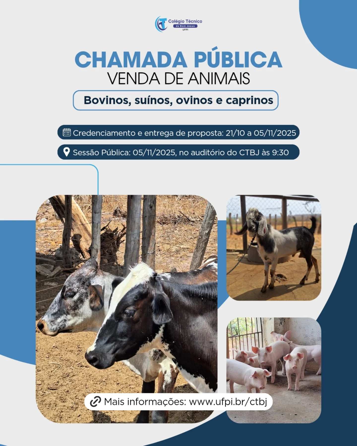 CTBJ-UFPI divulga edital de chamada pública para venda de animais; confira edital