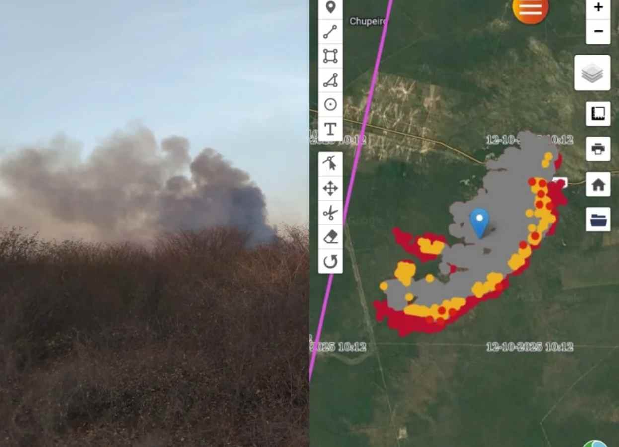 Incêndio de 12 km avança em direção à Serra das Confusões e linhas de transmissão em Canto do Buriti