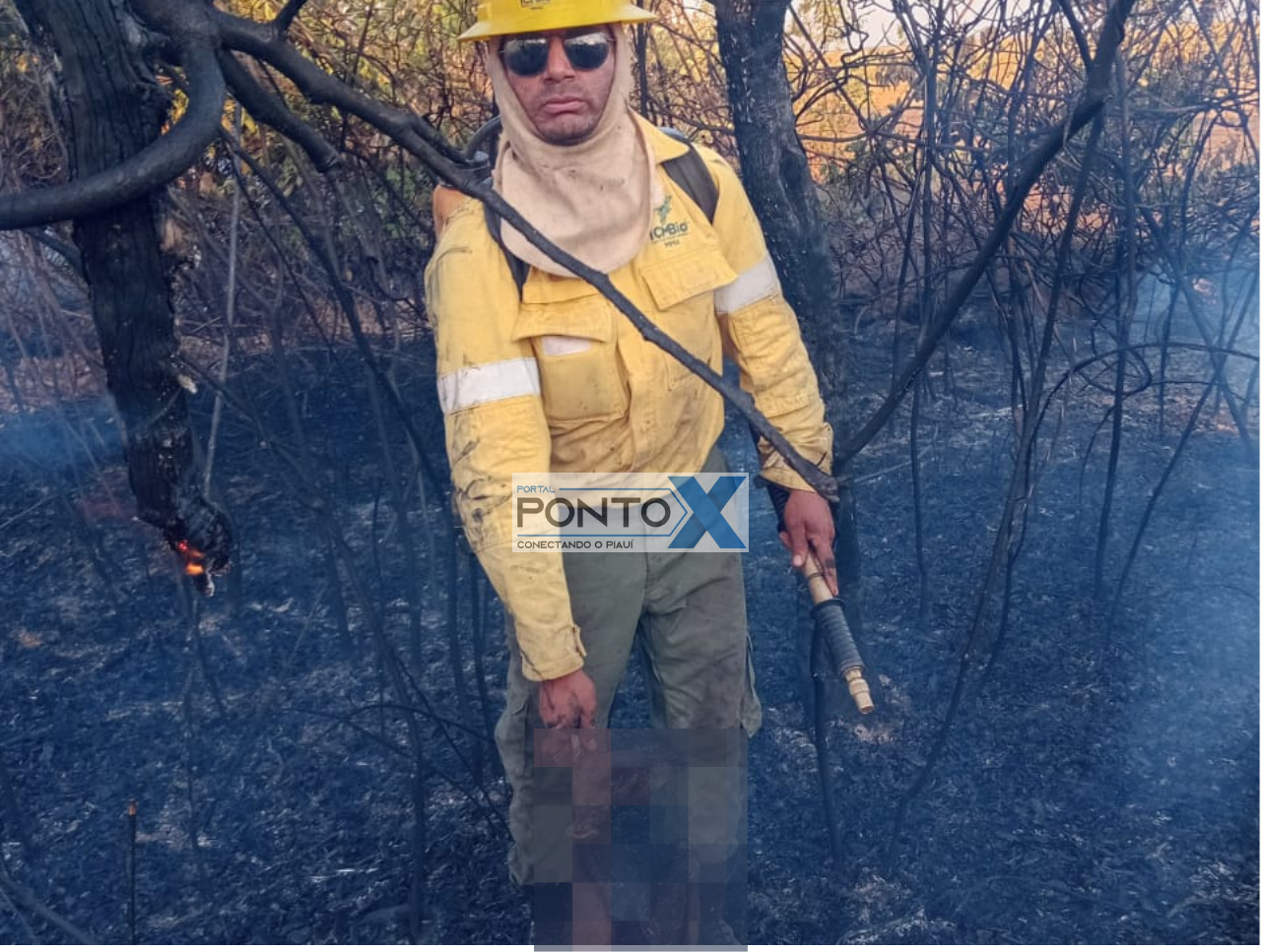 Incêndio de grandes proporções devasta a Estação Ecológica de Uruçuí-Una e ameaça biodiversidade no Sul do Piauí; (vídeo)