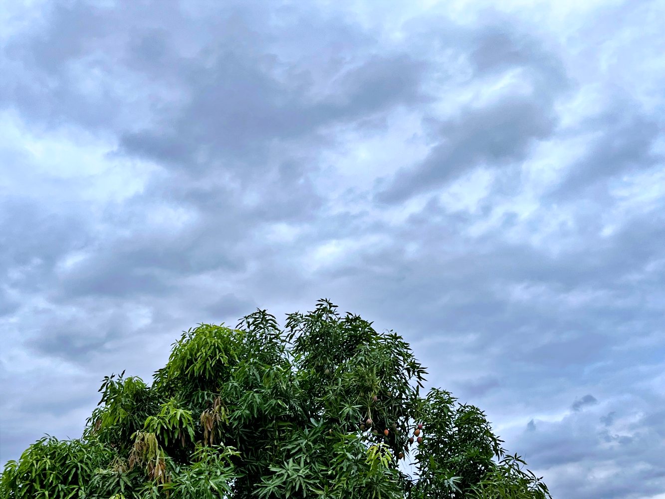Bom Jesus e Corrente podem registrar novas chuvas até quarta-feira (22), alerta meteorologista da Semarh-PI