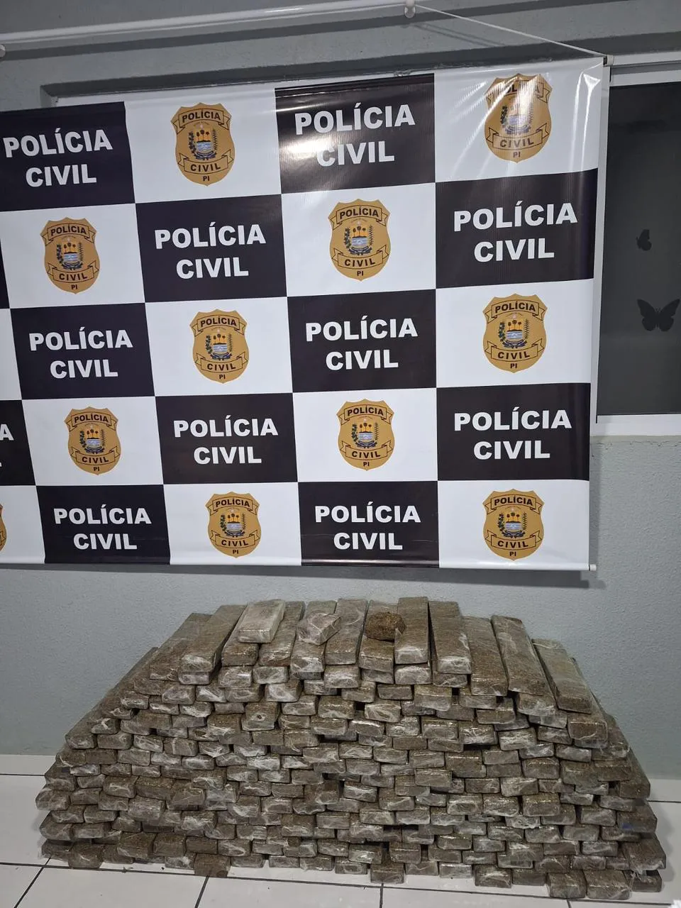 68f9ff3539547_apreensao-250kg-skank-bomjesus-draco_(5)