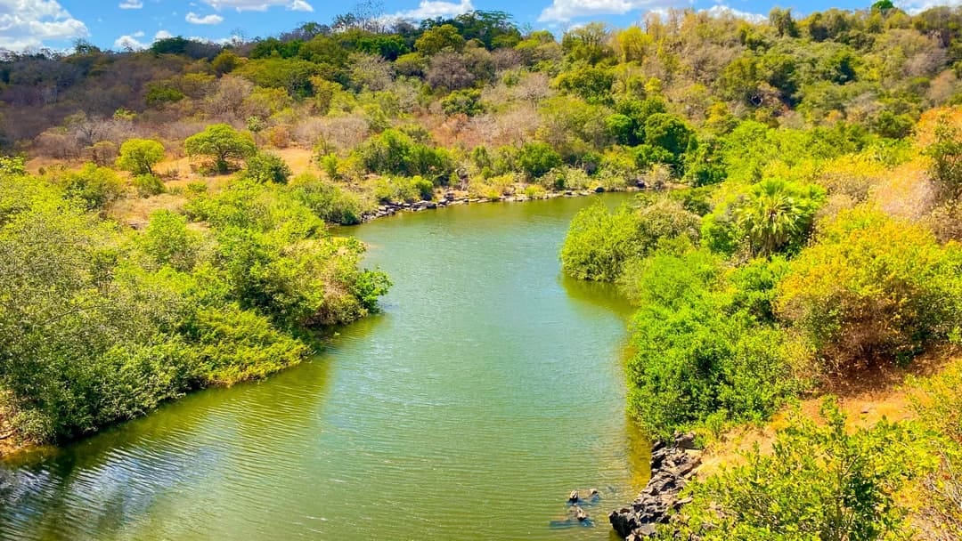 Desmatamento ilegal no Piauí registra queda de 67,9% no primeiro semestre de 2025
