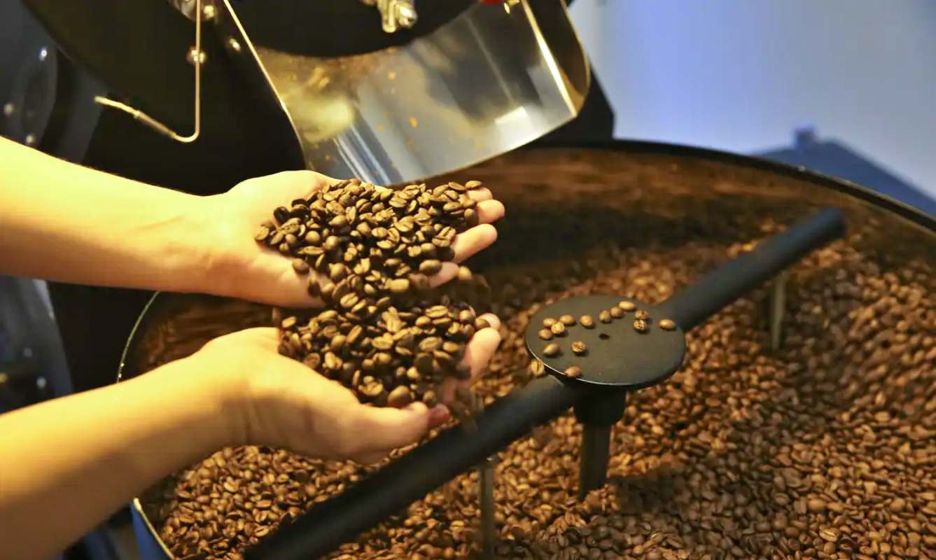 Preço do café cai pela primeira vez depois de 18 meses, diz IBGE