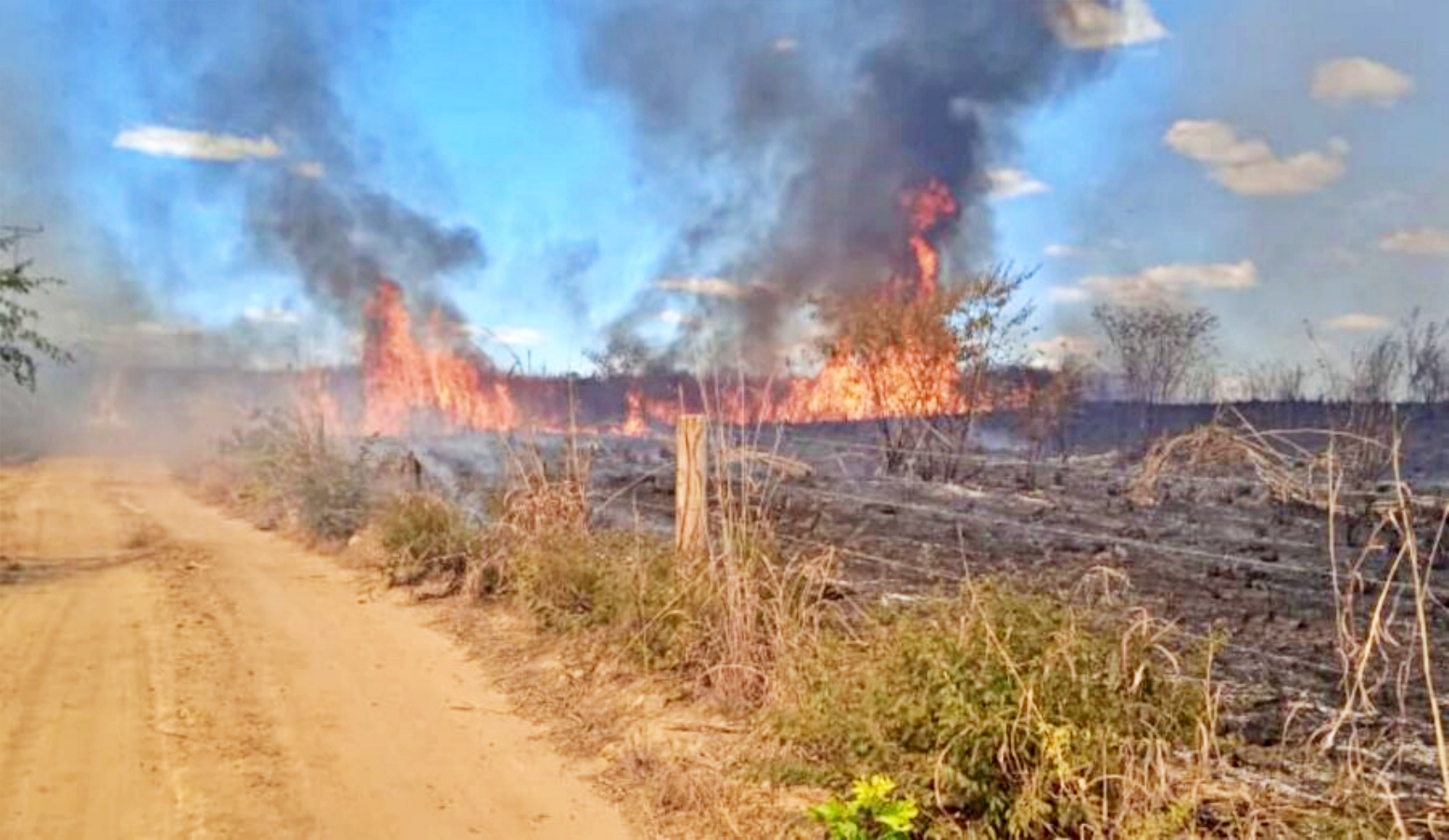 Proibição de queimadas entra em vigor no Piauí por dois meses; descumprimento pode causar prisão e multa