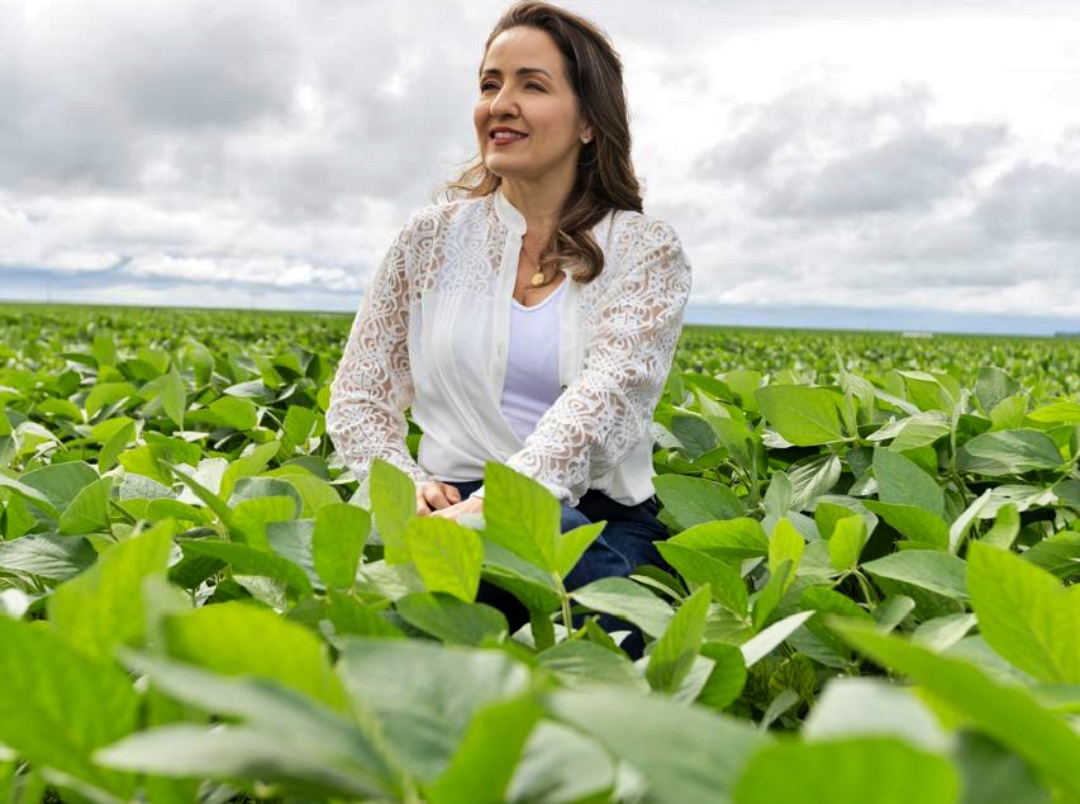 O Direito Agrário como Pilar do Agronegócio Brasileiro