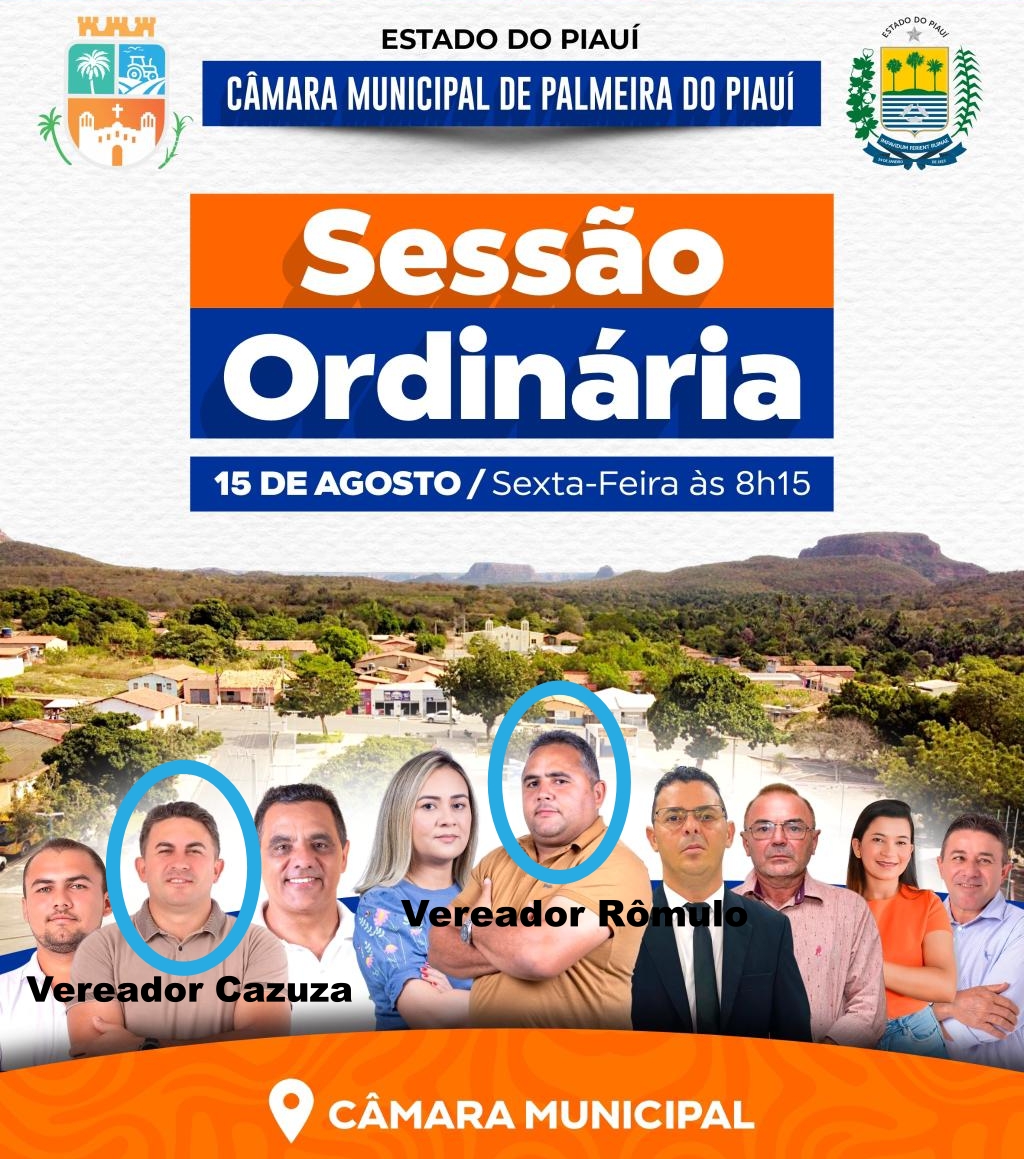 Clima tenso e debate sobre transparência marcam sessão na Câmara de Palmeira do Piauí