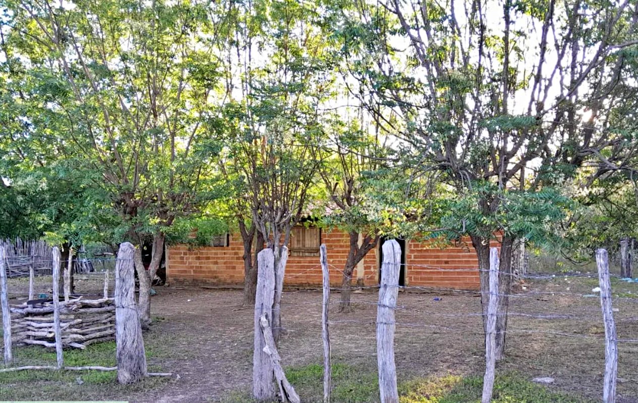 Pai é preso suspeito de estuprar filha por seis anos no interior do Piauí; irmão da vítima encontrou vídeos dos abusos