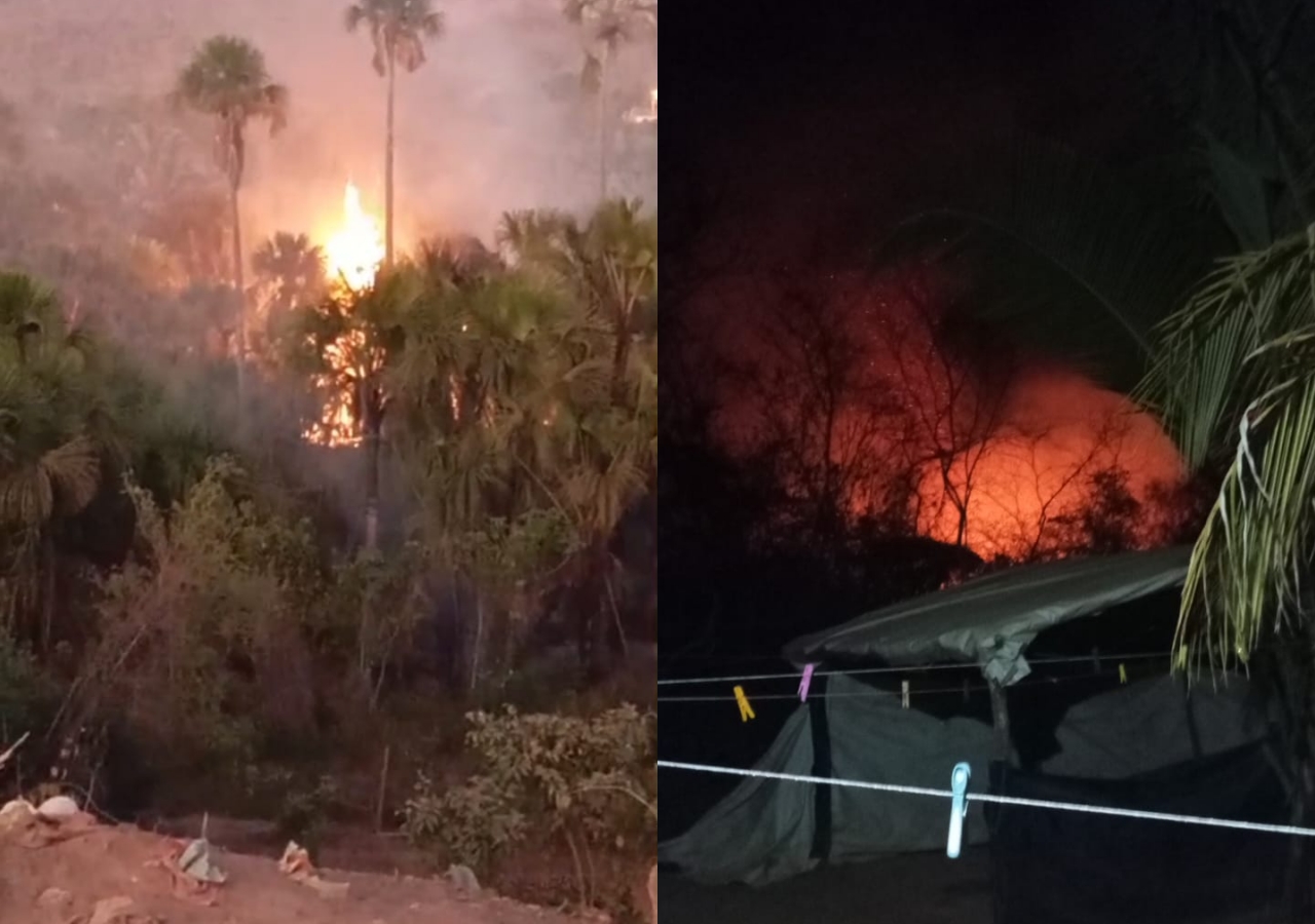 VÍDEO: Incêndio de grandes proporções ameaça comunidade na zona rural de Currais