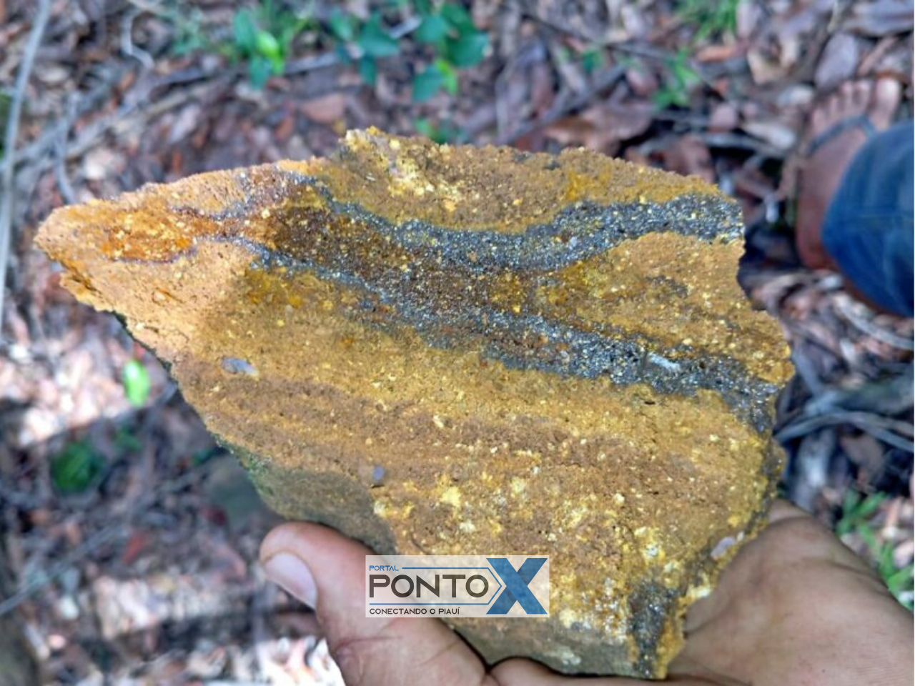 Expectativa frustrada: Serviço Geológico do Brasil diz que região de Currais não tem jazida de ouro
