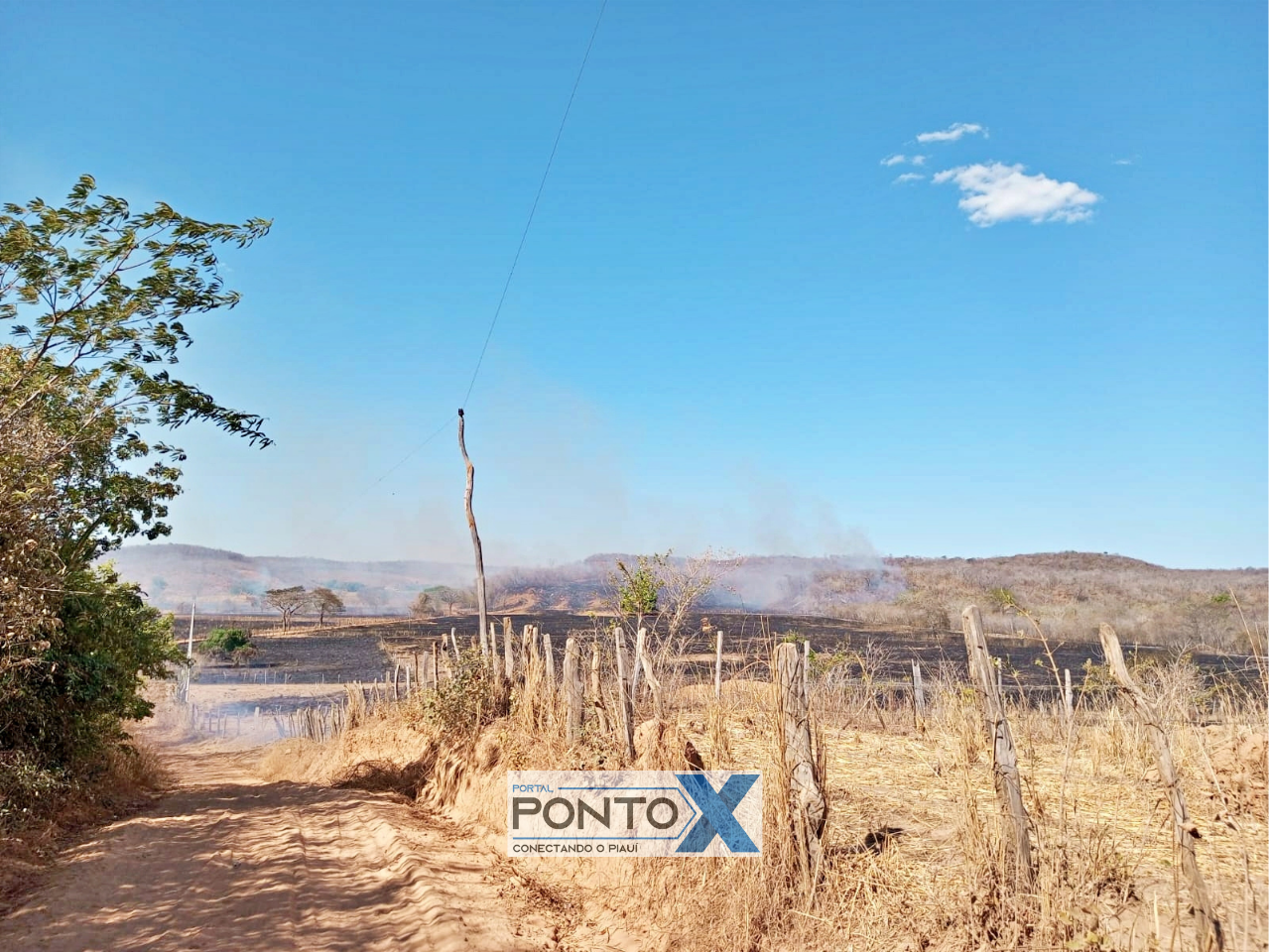 Incêndio de grandes proporções atinge zona rural de Santa Luz, Sul do Piauí