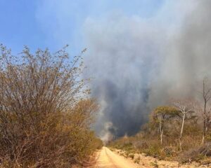 Incêndios (foto: reprodução)