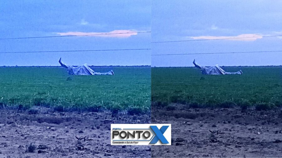 Avião agrícola cai no Cerrado de Palmeira do Piauí (Foto: Edição Portal Ponto X)